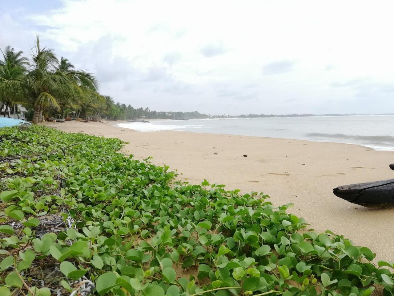 Mars Hotel Tangalle Exterior photo